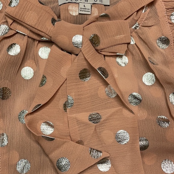 Mauve/Silver Sheer Long Sleeve Polka Dot Neck Tie Blouse - Picture 9 of 15